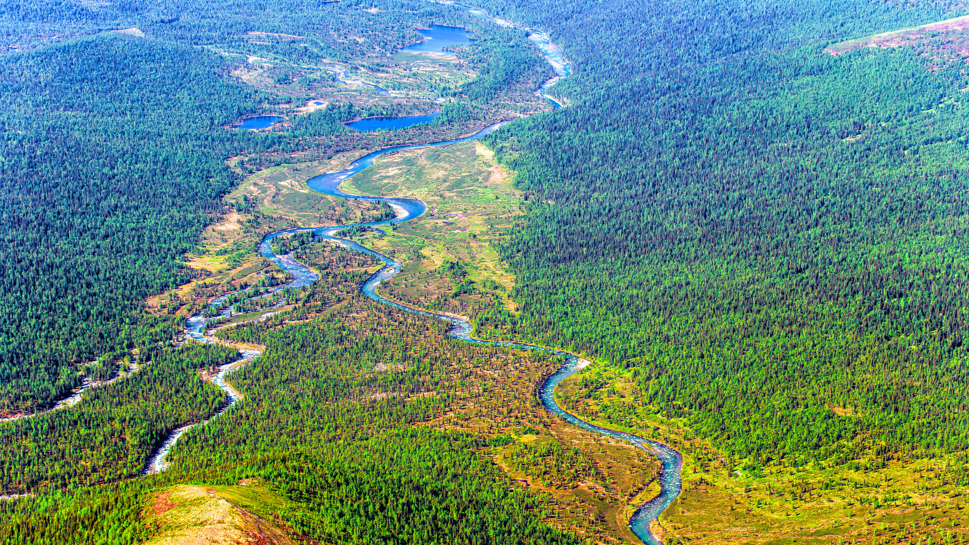 Aerial view of a winding blue river meandering through dense green forested mountain terrain, with several smaller tributary streams flowing into the main river.