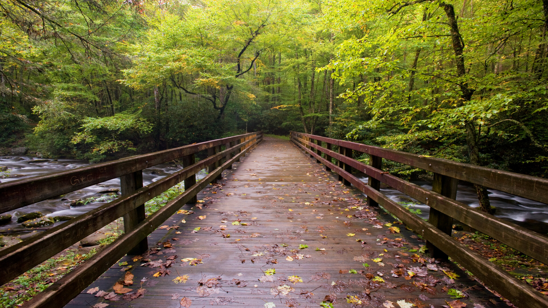 Eine einfache Holzbrücke führt geradlinig über einen fließenden Bach in einen grünen Wald. Ein Sinnbild dafür, dass die einfachste Lösung oft die tragfähigste ist.