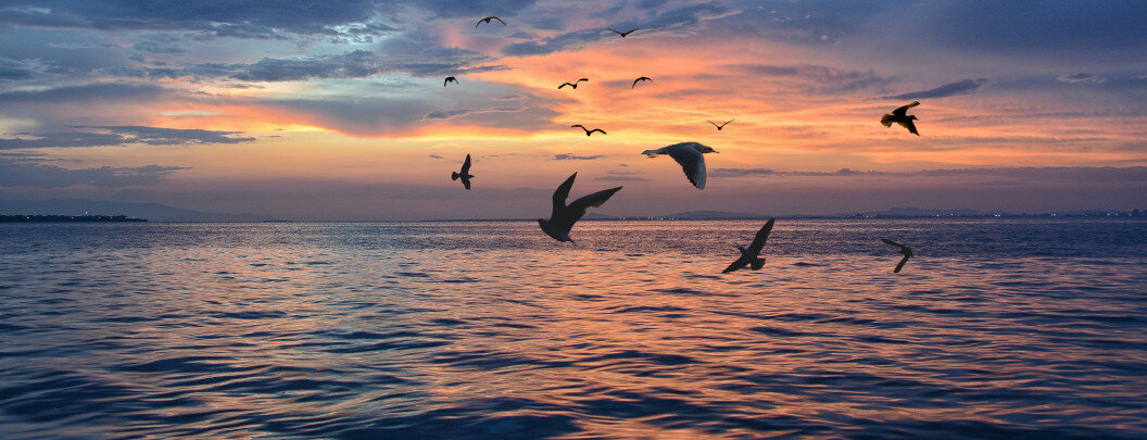 The image depicts a tranquil seascape at sunset or sunrise. The water's surface reflects the warm colours of the sky, which glows in shades of orange, yellow, blue and violet. Several birds can be seen flying in the sky, creating a peaceful and relaxed atmosphere. The silhouettes of the birds stand out clearly against the colourful horizon, emphasising the vastness and tranquillity of the scene. In the background, a dark headland or coastline can be seen, completing the picture.