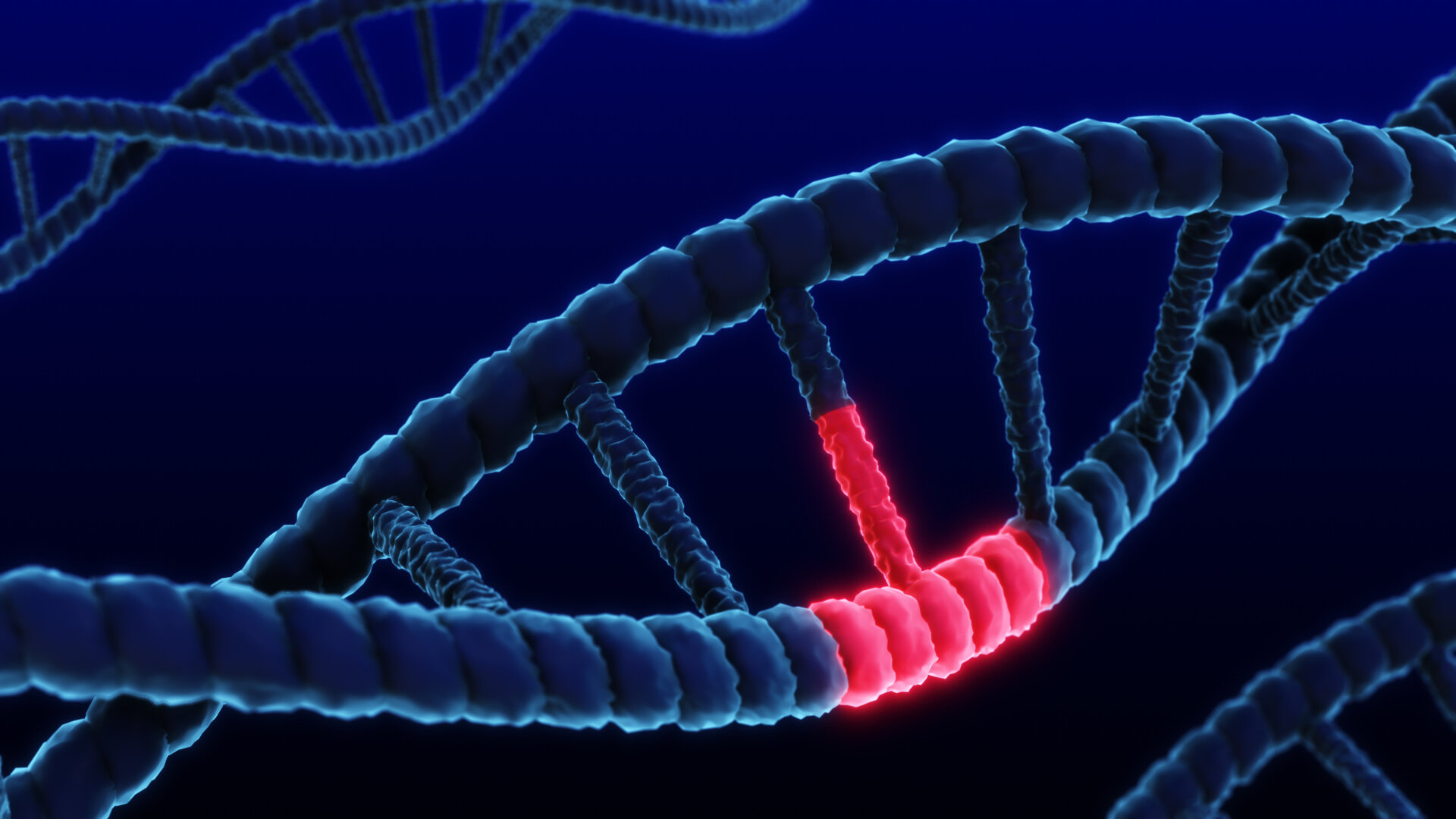 This image shows a stylised representation of a DNA double helix, with a single section highlighted. The DNA strands are shown in blue, while a short section of the base pairs and the associated connections glow red. The imagery communicates a mutation or targeted change at the molecular level, as applied in genetic analysis, mutation testing or biotechnological processing. The focused area could symbolise a mutation, repair or targeted intervention, as used in genetic research.