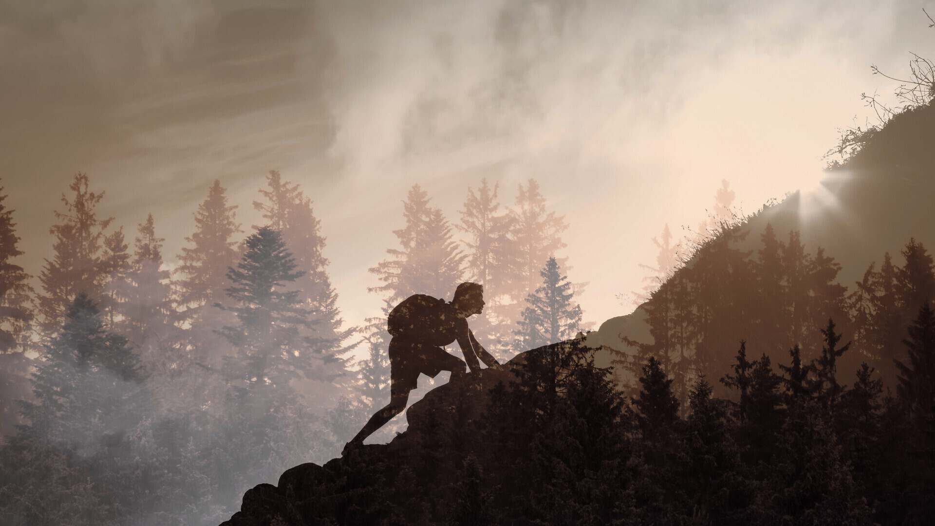 Die Silhouette einer Person mit Rucksack, die im Gegenlicht eine felsige Kuppe hinaufklettert. Sie hat sich mit einer Hand auf dem Fels vor sich abgestützt, ein Bein ist schon nachgezogen, der nächste Griff liegt in Reichweite. Ringsum steht Nadelwald im Dunst, rechts oben bricht die Sonne über einem Bergrücken hervor und legt einen warmen Schleier über die ganze Szene. Ein Sinnbild dafür, dass ein Aufstieg aus einzelnen Griffen besteht, von denen jeder einzelne zu schaffen ist.