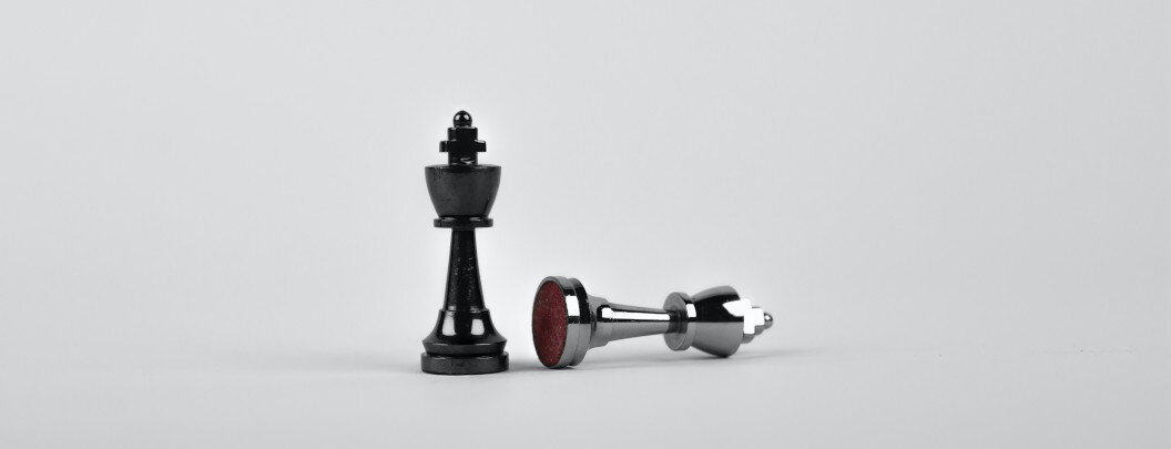 The image shows two chess pieces on a light, almost white background. The central piece, a black king, stands upright. Next to it lies another king – presumably white – on its side, apparently defeated. The scene appears minimalistic and focuses exclusively on this symbolic moment, which is often interpreted as representing victory and defeat.