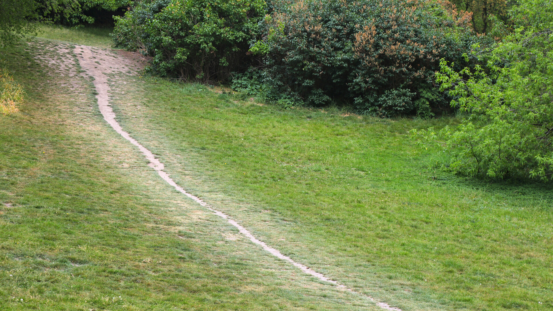 A desire path runs across a lawn in a park. It is barely a shoe's width across, the grass along its edges trodden flat, the soil in the middle bare. It does not run straight: it curves gently up the slope and disappears between the bushes at the top. Nobody planned this route; it exists because everyone took it. A tracing JIT decides which code to compile in the same way.